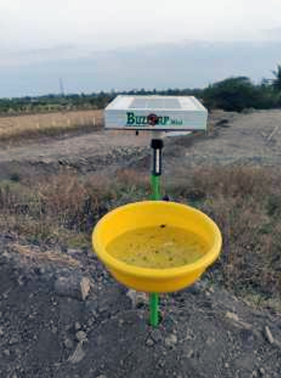 solar insect trap