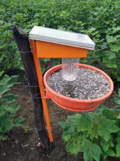 solar insect trap