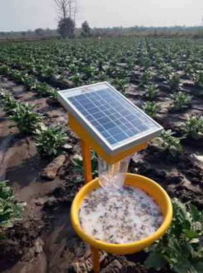 solar insect killer